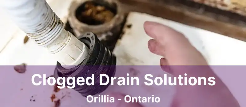  Clogged Drain Solutions Orillia - Ontario